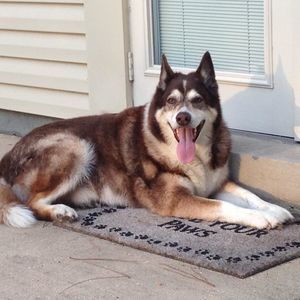 Meet your Posher, Barbara